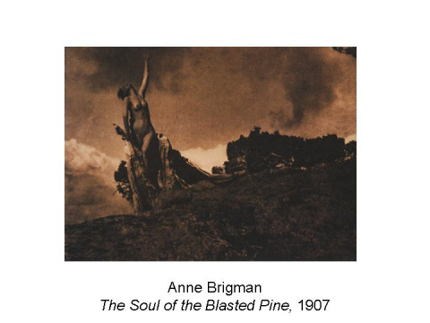 Anne Brigman The Soul of the Blasted Pine, 19