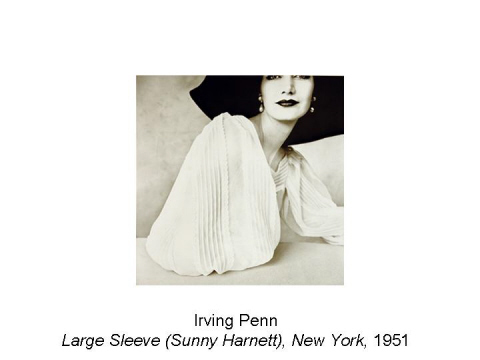 Irving Penn Large Sleeve (Sunny Harnett), New